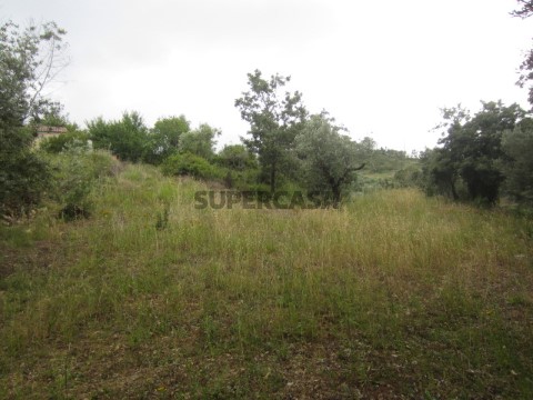 Terreno Penela