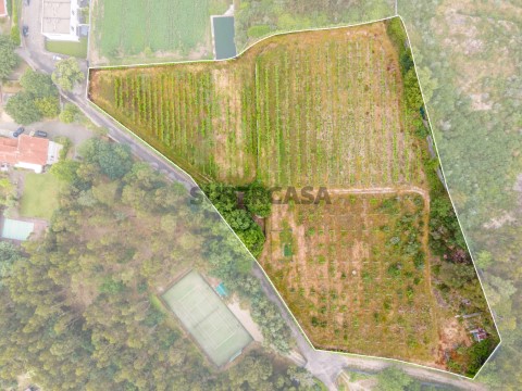 Terreno rústico com 8.000m2