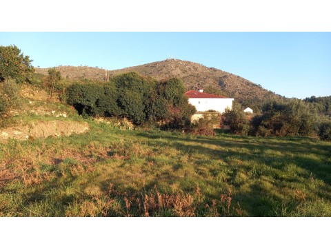 Terreno em Dem, Caminha