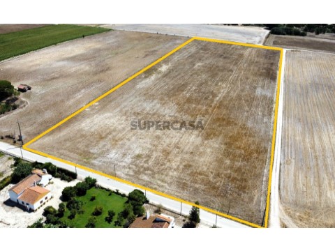 dji_export_1689158970386