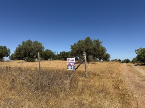 Herdade em Malarranha (2)