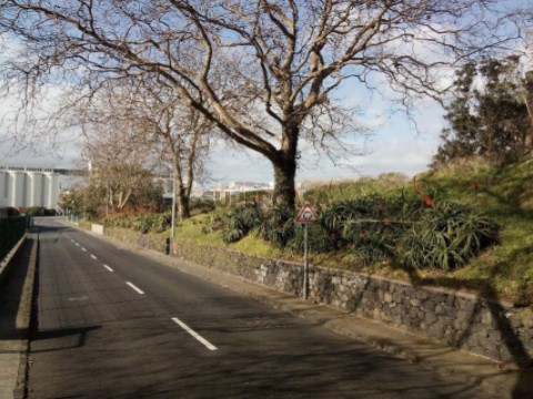 MPDL5022-BS - Terreno Pranchinha - Estrada Reg. Ribeira Grande - Ponta Delgada