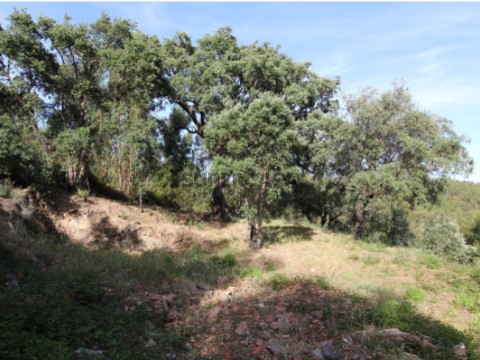 Terreno Misto, com Ruína, Monchique, Algarve