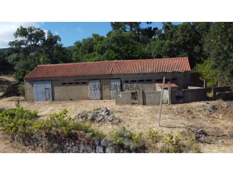 Terreno Misto em Monchique, Com Armazém e Casa Para Restaurar (16)