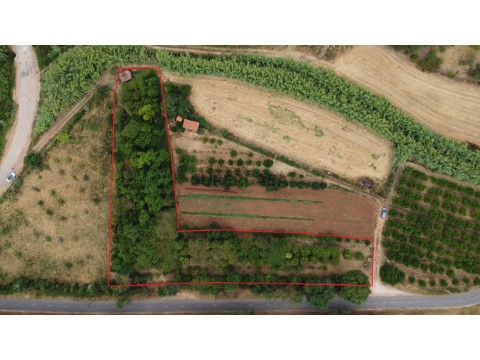 Terreno Rustico em Santo Estevão - Silves (6)