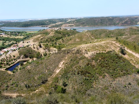 Quinta com Terreno em Silves - Oportunidade com Potencial de Investimento