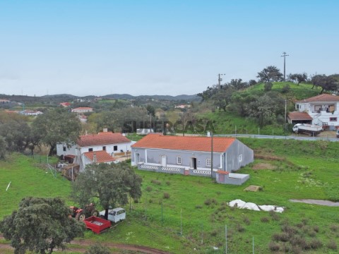 Moradia Isolada com Jardim e Boa Exposição Solar em São Bartolomeu de Messines_