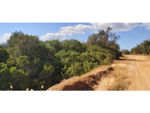 Terreno rústico, Albufeira