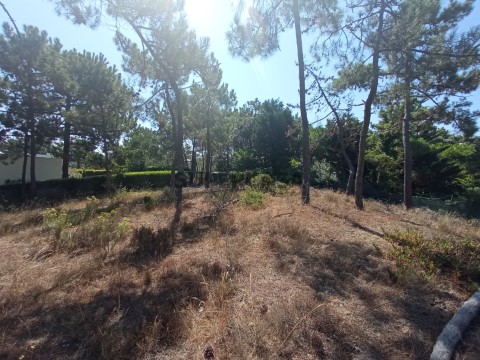 Terreno Troia