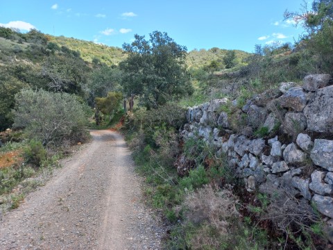 Terreno rústico, Conceição, Faro, Algarve