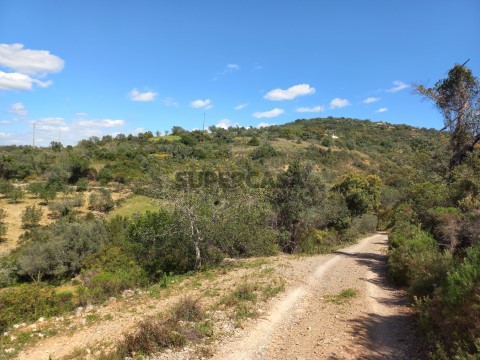 Terreno rústico, Conceição, Faro, Algarve