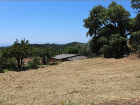 Quinta em Marmelete, terreno