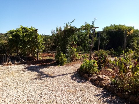 Terreno Agrícola com 2.120 m², São Bartolomeu de Messines, Algarve