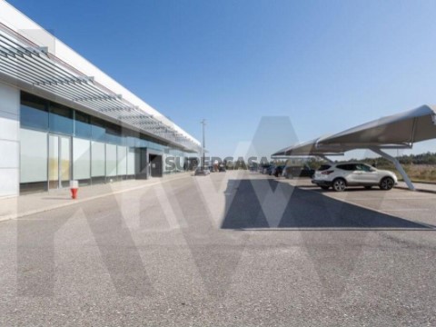 Magazijn Op Castelo Branco, Castelo Branco