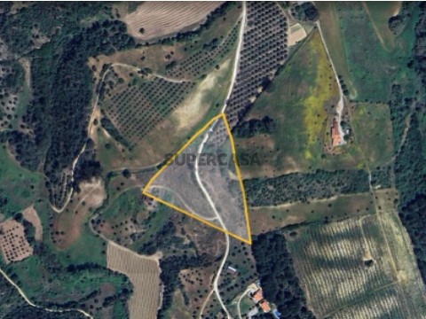 Terreno em Achete, Azoia de Baixo e Póvoa de Santarém, Santarém