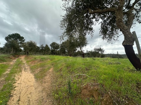 Quinta T0 em Vila Nova de Milfontes, Odemira