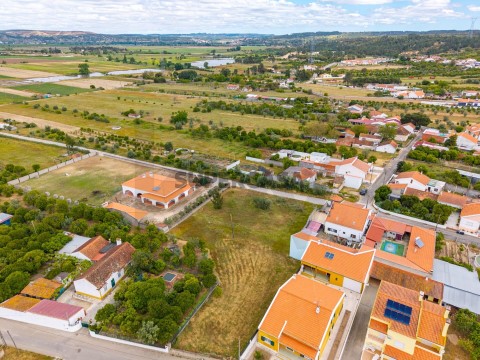 Terreno em Carregueira, Chamusca