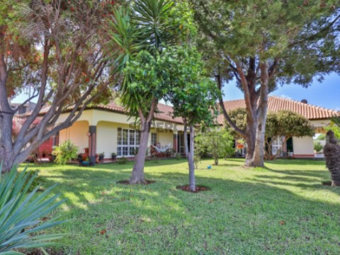 Moradia T4 Ribeira Brava - jardim