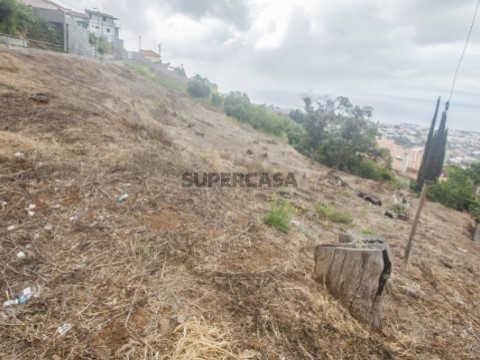 Terreno - Funchal
