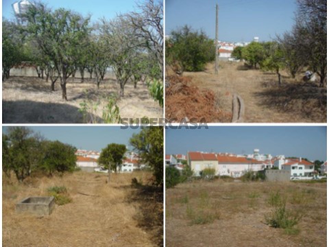 Quinta - Barreiro