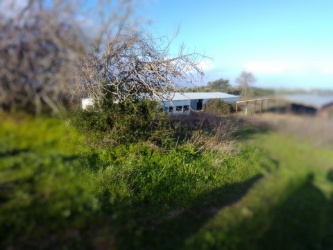 Terreno rustico com cerca de 120 000 m2.