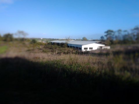 Terreno rustico com cerca de 120 000 m2.