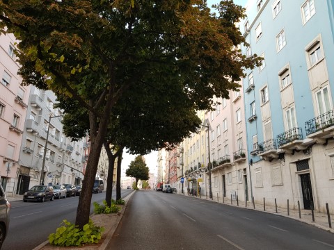 vista
