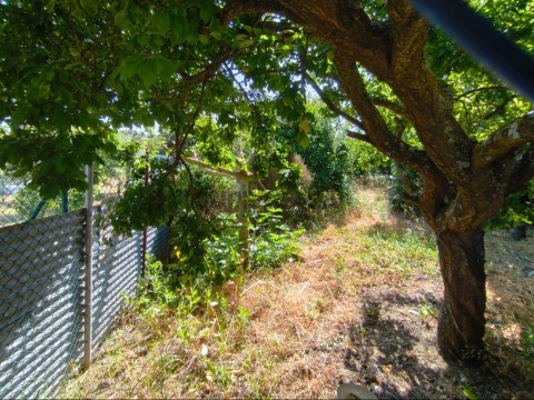 IMG-20250707-WA0005