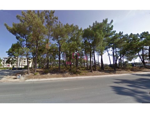 Terreno em Azeitão (São Lourenço e São Simão), Setúbal