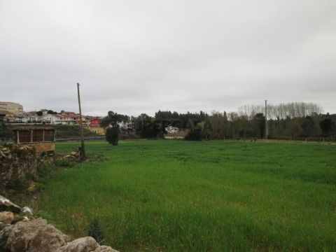 Ground