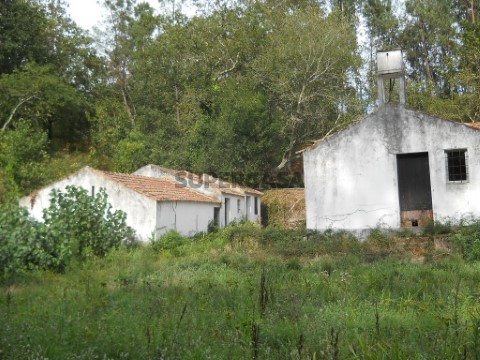 Quinta