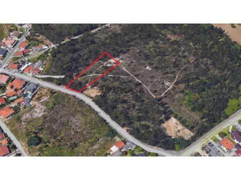 lote1.1 Ovar