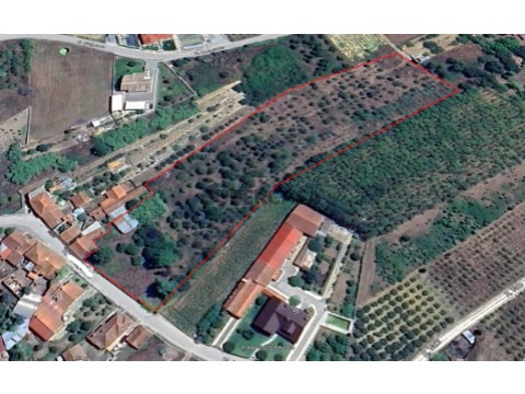 Terreno Anadia