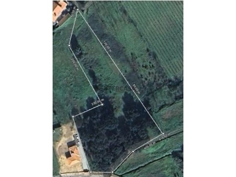 Terrain au Sangalhos, Anadia