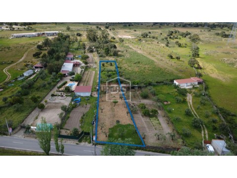 Terreno Rústico em Alcains, Castelo Branco