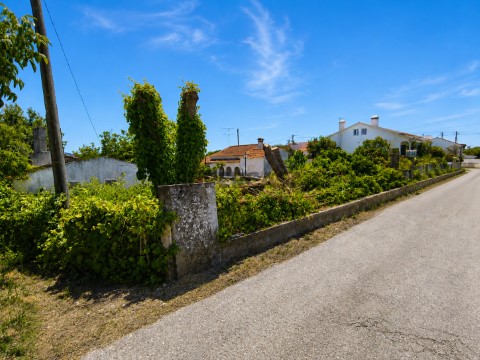 Quinta com 16 mil m2 em excelente localização - Tomar