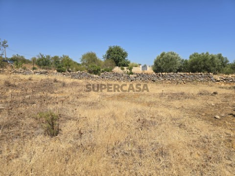 Terreno-Falfosa-Santa_Barbara_de_Nexe-Faro-GoldenProperties