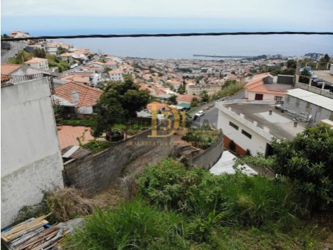 Terreno em Imaculado Coração Maria, Funchal