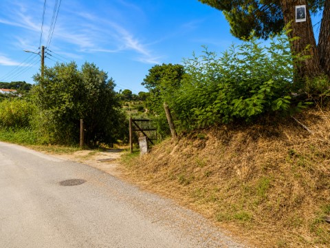 Entrada