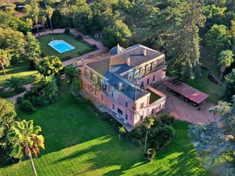 DJI_0903_ma