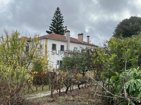 Vista - image00009