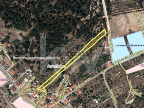 Terreno em São Miguel do Rio Torto e Rossio Ao Sul do Tejo, Abrantes