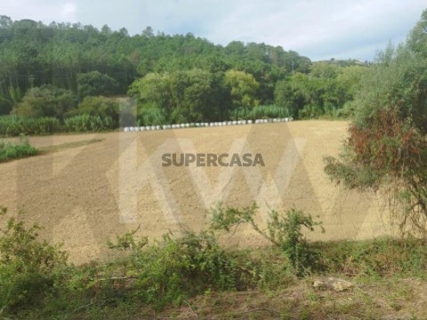 Terreno em Santo Isidoro, Mafra