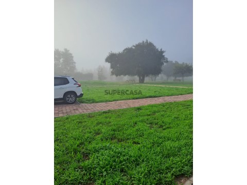 Terreno em Cartaxo e Vale da Pinta, Cartaxo