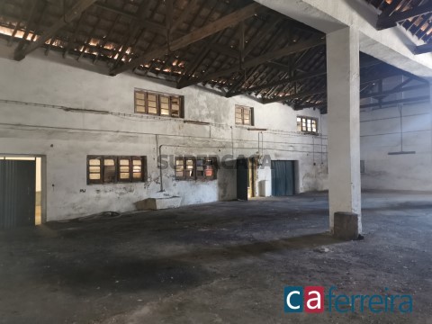 Pavilhão (4)