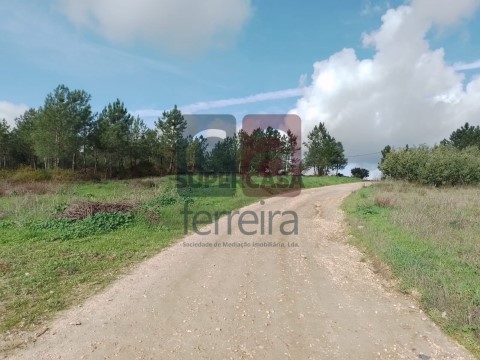 TERRENO (6)