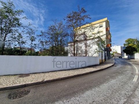 Terreno (10)