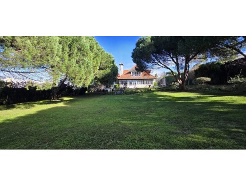 Jardim