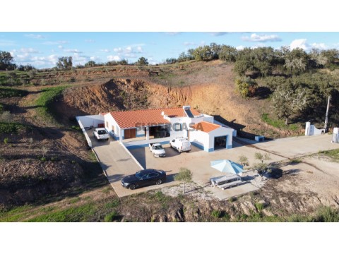Quinta de Produção de Azeite em Messines
