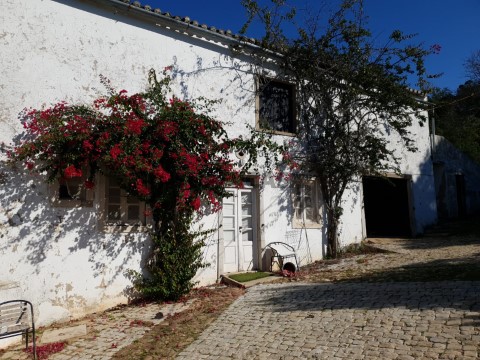 Quinta Tradicional T3 com 2ha e Olival em São Brás de Alportel